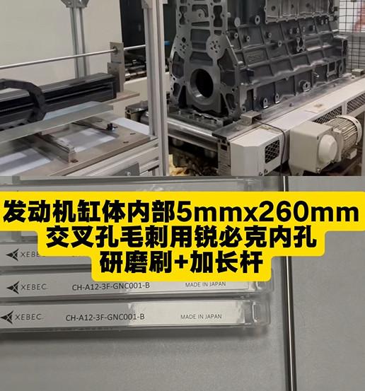 锐必克内孔研磨刷