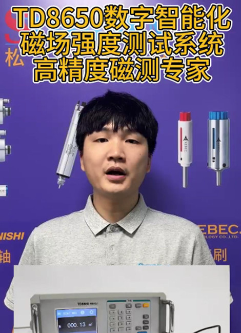 TD8650台式高斯计