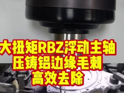 <i style='color:red'>大扭矩rbz浮动主轴</i>：压铸铝边缘毛刺，高效去除