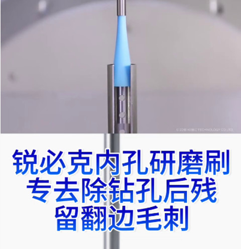 锐必克内孔研磨刷