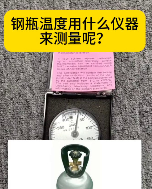 PTC双磁固定式表面温度计314C