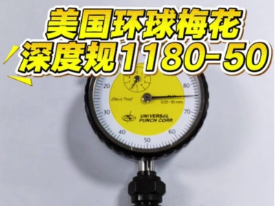<i style='color:red'>美国环球梅花深度规1180-50</i>