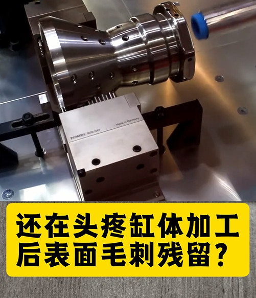 锐必克表面研磨刷