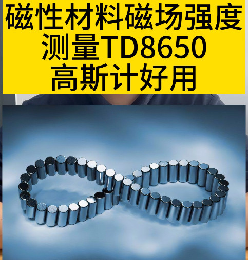 TD8650高斯计