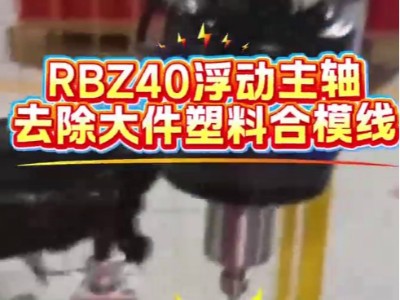 <i style='color:red'>rbz40浮动主轴</i>，去除大件塑料合模线