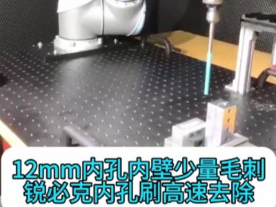 12mm内孔内壁少量毛刺，<i style='color:red'>锐必克内孔刷</i>高速去除