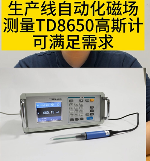 TD8650高斯计