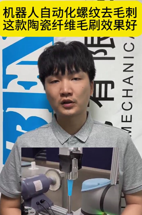 锐必克陶瓷纤维研磨刷