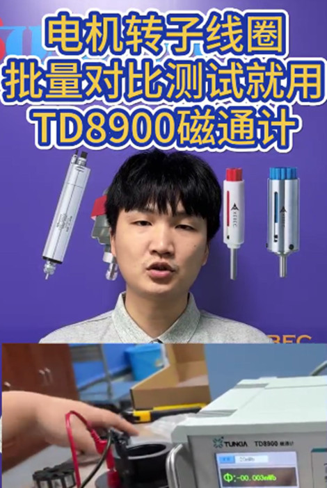 TD8900磁通计