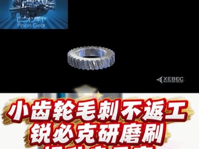 小齿轮毛刺不返工，<i style='color:red'>锐必克研磨刷</i>提升良品率！