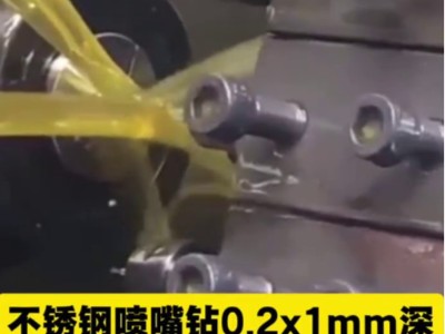 排刀机刀座孔30mm，不锈钢喷嘴钻0.2x1mm深，6万转高速主轴