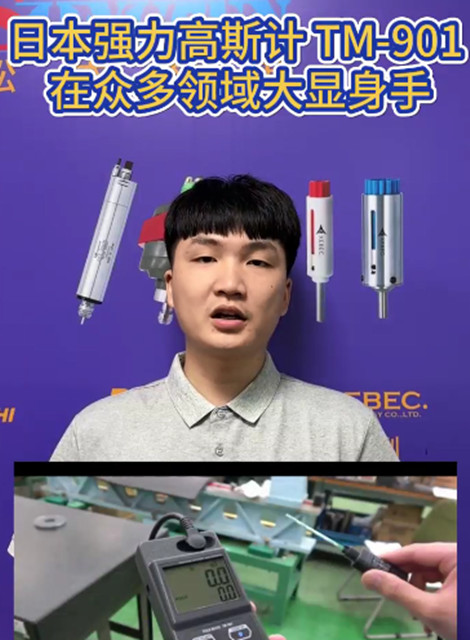 日本强力高斯计