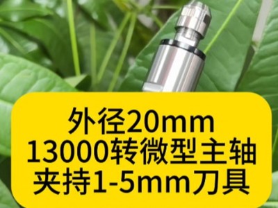 外径20mm13000转<i style='color:red'>rbz微型主轴</i>夹持1-5mm刀具