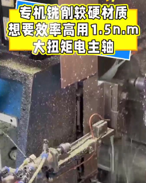 大扭矩高速电主轴