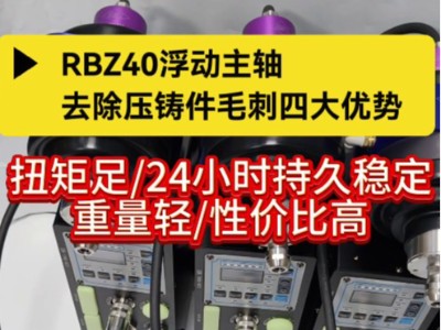 <i style='color:red'>rbz40浮动主轴</i>，去除压铸件毛刺四大优势