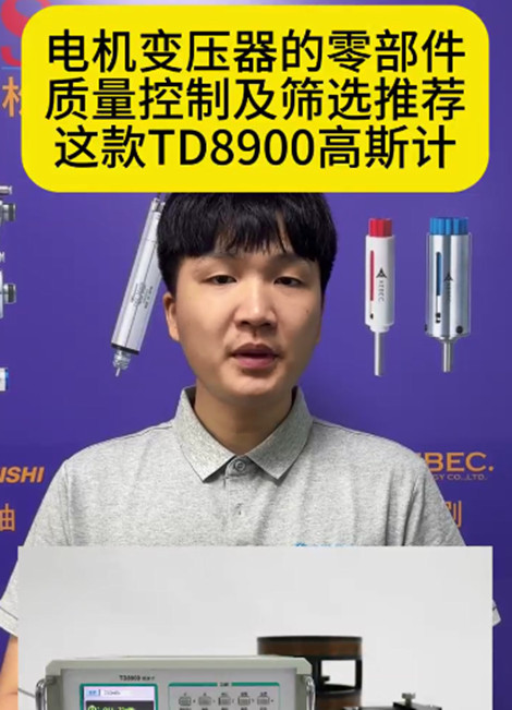 TD8900磁通计