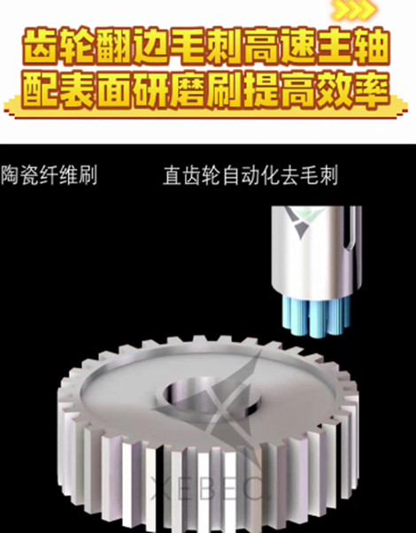 锐必克表面研磨刷