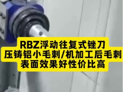 RBZ浮动往复式锉刀,压铸铝小毛刺/机加工后毛刺,表面效果好性价比高