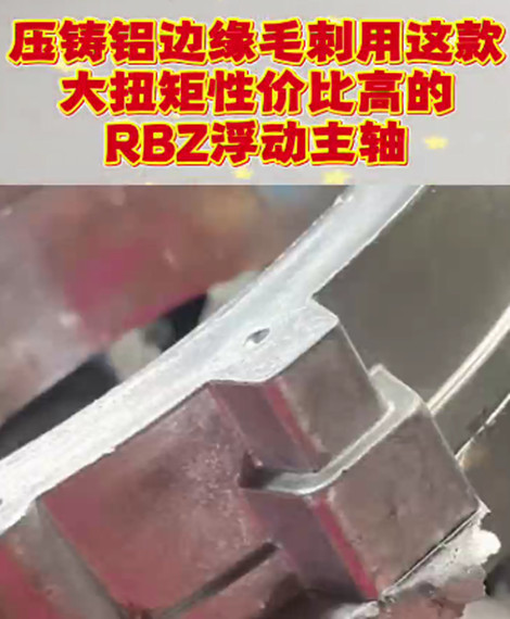 RBZ浮动主轴