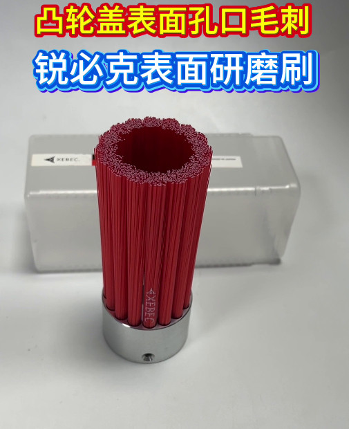 锐必克研磨刷