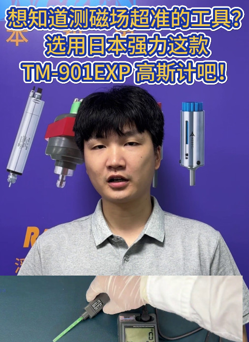 日本强力高斯计