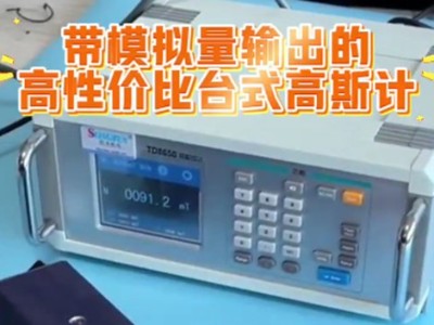 带模拟量输出的高性价比台式高斯计