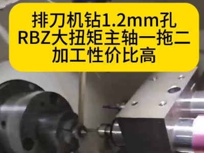 排刀机钻1.2mm孔RBZ大扭矩主轴一拖二加工性价比高