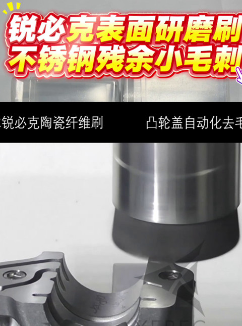 锐必克表面研磨刷