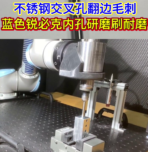 锐必克内孔研磨刷