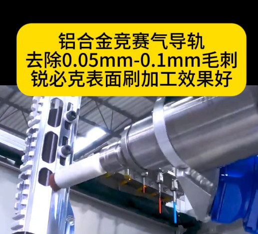 锐必克表面研磨刷