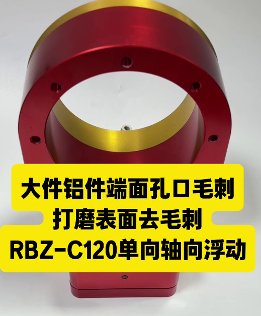 RBZ-C120单向轴向浮动